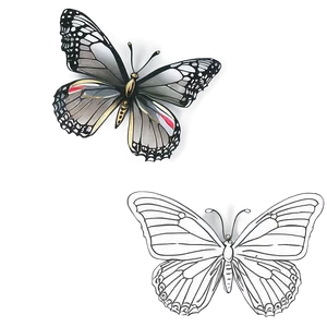 Butterfly Outline Sketch Png 1 PNG image