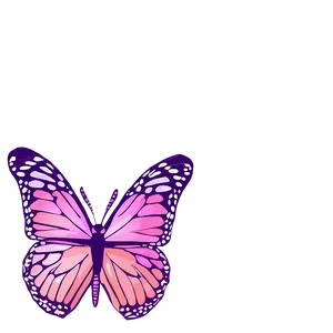 Butterfly Outlines PNG Exe74