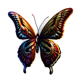 Butterfly Patterns PNG Wtx80