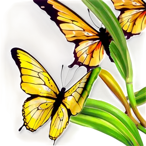 Butterfly Serenity PNG 06262024