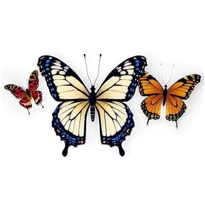 Butterfly Shapes PNG 57