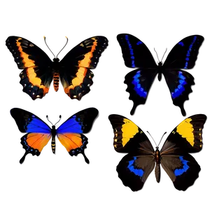 Butterfly Silhouettes PNG Vlu