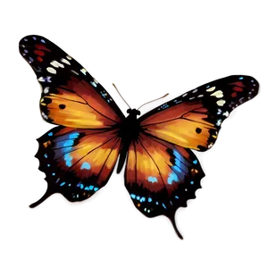 Butterfly Spectacle PNG 58 PNG
