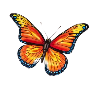 Butterfly Splendor PNG 10