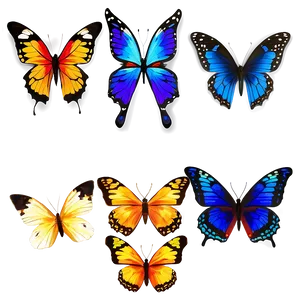 Butterfly Splendor Png 26 PNG image