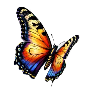 Butterfly Splendor PNG Olr10 PNG