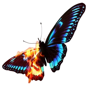 Butterfly With Fire Effect PNG 58 PNG