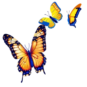 Butterfly Wonder PNG Hyi PNG