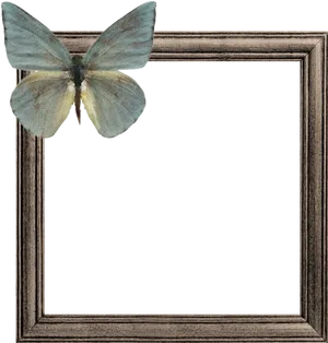 Butterflyon Wooden Frame PNG image