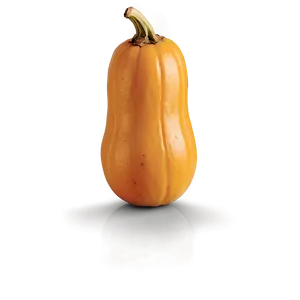 Butternut PNG Tqv PNG