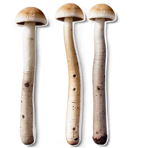 Button Mushrooms Png 05242024 PNG image