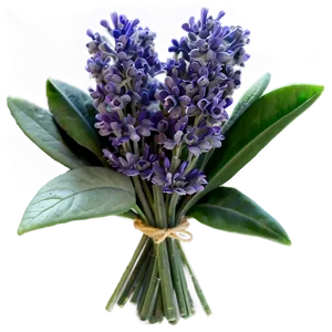 Bygone Lavender Posy Png 60 PNG image