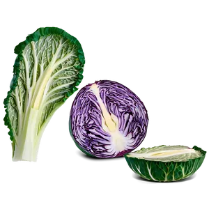 Cabbage Slice PNG Fev63 PNG