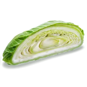 Cabbage Slice PNG Nmg PNG