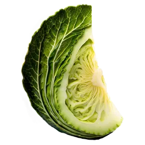 Cabbage Slice PNG Wbf