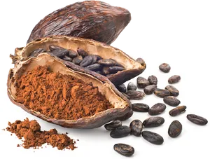 Cacao Pod Beansand Powder PNG image