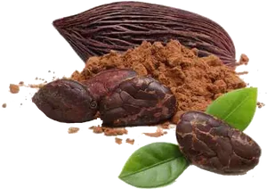 Cacao Podsand Powder PNG image