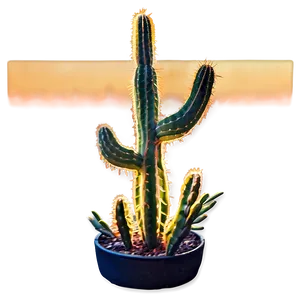 Cactus At Golden Hour PNG Kou PNG