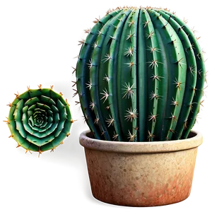 Cactus B PNG image