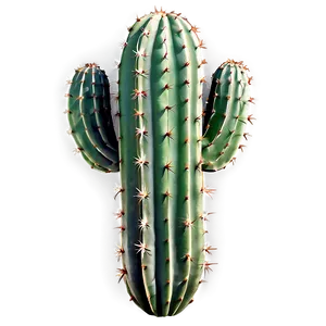 Cactus Background Png Hep79 PNG image