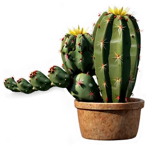 Cactus D PNG image