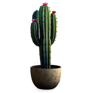 Cactus Decoration Png 19 PNG image