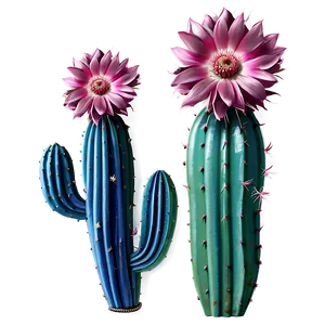 Cactus Decoration PNG Xmf35 PNG