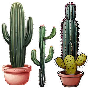 Cactus Garden Png 19 PNG image