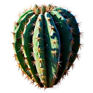 Cactus Illustration Png 05032024 PNG image