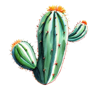 Cactus In Aquarelle Technique PNG 06282024 PNG