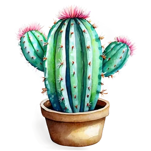 Cactus In Aquarelle Technique PNG 67 PNG