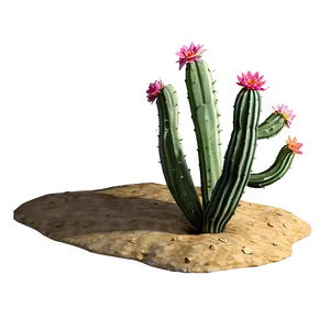 Cactus In Desert PNG 05032024 PNG