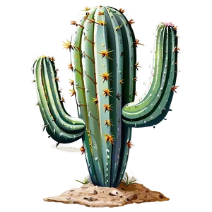 Cactus In Desert PNG 05032024 PNG