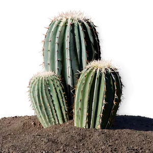 Cactus In Minimal Landscape PNG Cek PNG