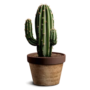 Cactus In Rustic Setting PNG Cpo PNG