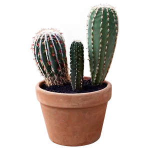 Cactus In Terracotta Pot PNG Rgf