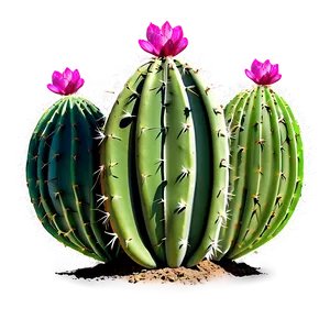 Cactus Outline Png Ibt PNG image