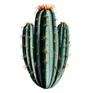 Cactus Pattern Png 05032024 PNG image