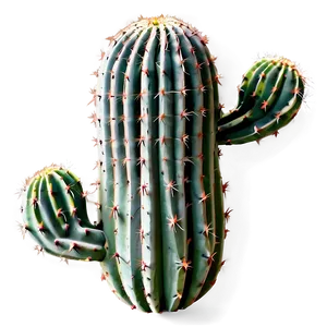 Cactus Pattern Png Vji76 PNG image