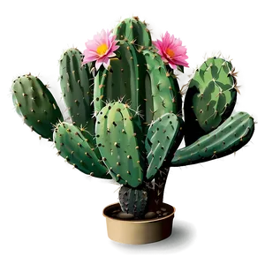 Cactus Plant Png 05032024 PNG image