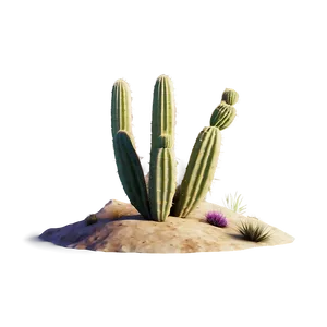 Cactus Scene Png 05032024 PNG image