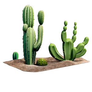 Cactus Scene Png Lvw2 PNG image