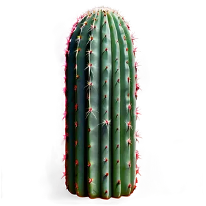 Cactus Set Png Tup PNG image