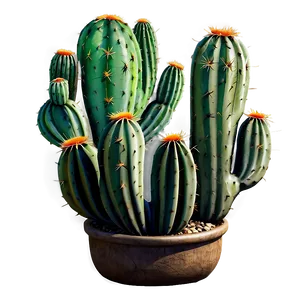 Cactus Texture Png Krh PNG image