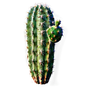 Cactus Texture Png Wat22 PNG image