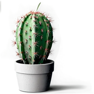 Cactus Theme Png 05032024 PNG image