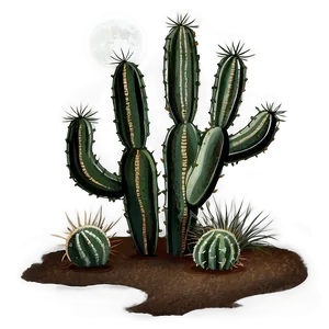 Cactus Under Moonlight PNG Ptr PNG
