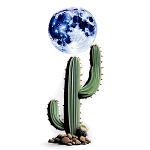 Cactus Under Moonlight PNG Rey16 PNG