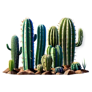Cactus Variety Png 05042024 PNG image