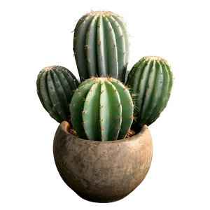 Cactus Variety Png 05042024 PNG image